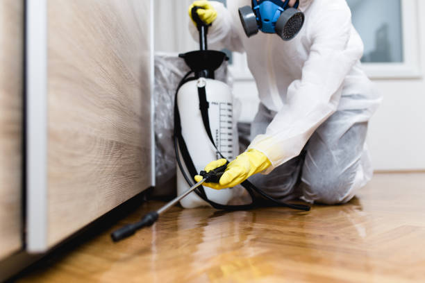 Best Best Pest Control Companies  in Selden, NY