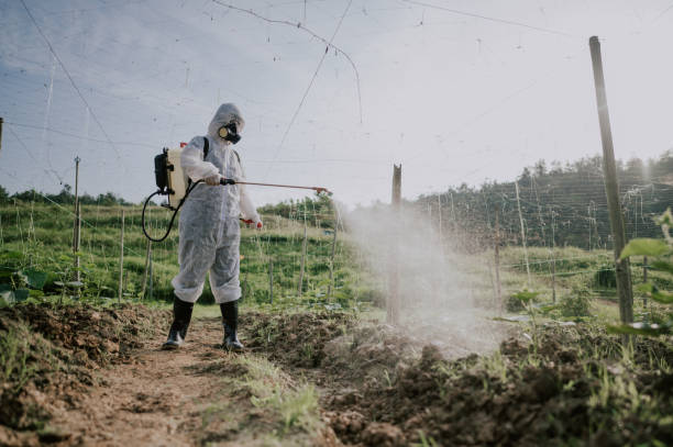 Pest Control Cost in Selden, NY