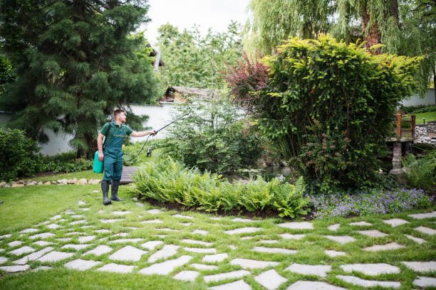 Best Residential Pest Control  in Selden, NY