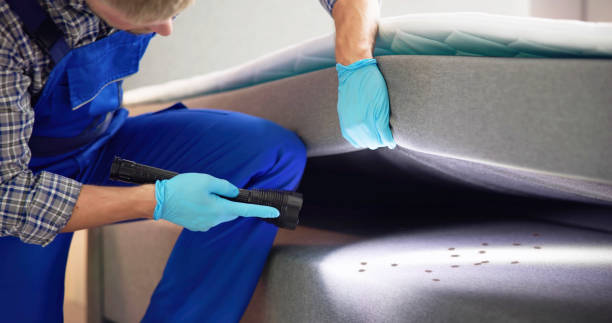 Best Commercial Pest Control Services  in Selden, NY