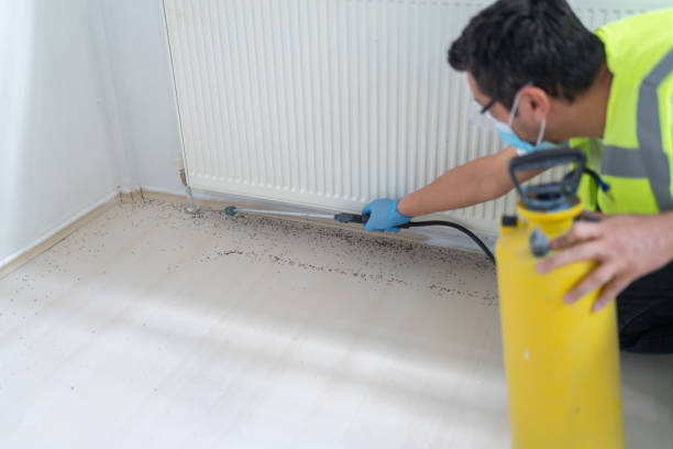 Best Affordable Exterminators  in Selden, NY